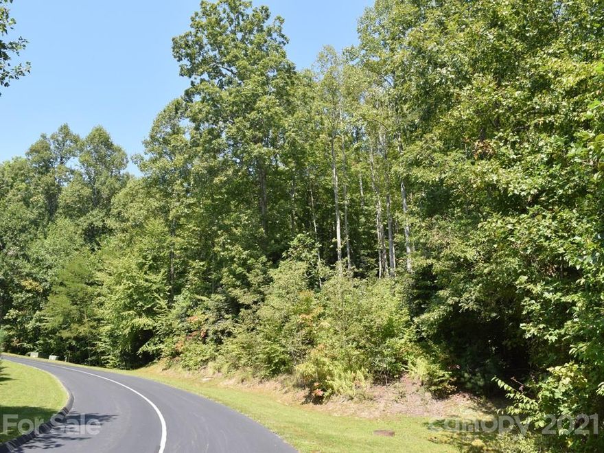 Make your mountain dream home come true by exploring the possibilities available to you in the outstanding community of Cummings Cove. This above road lot is ready for your vision, your house plans and your perfect touches. Enjoy a host of social activities available to you including a golf course, outdoor pool, spa, tennis courts, clubhouse, bocce ball and pickle ball. City water and community sewer available. Why wait any longer? You deserve it - live the life you choose!