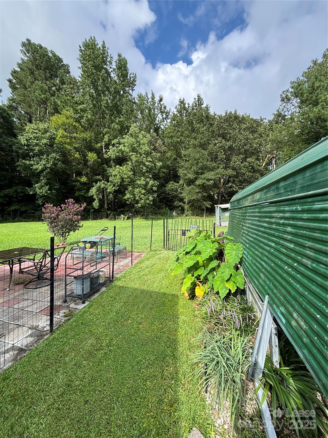 None - Residential Lease