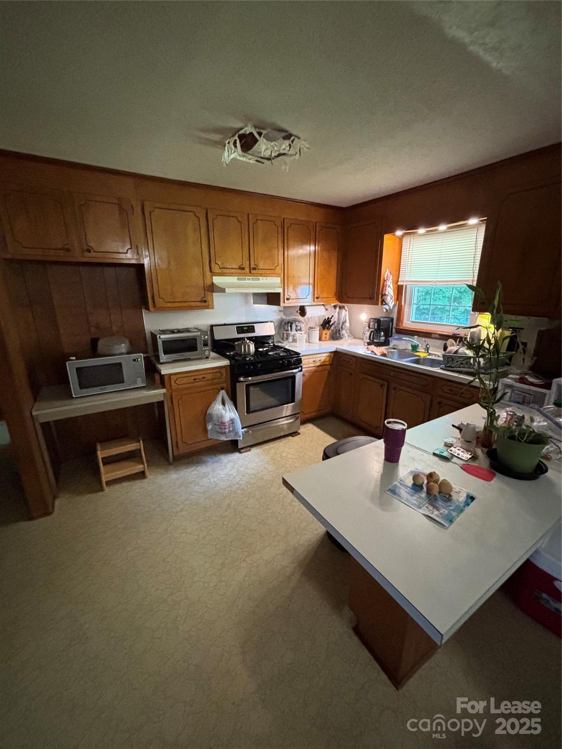 None - Residential Lease