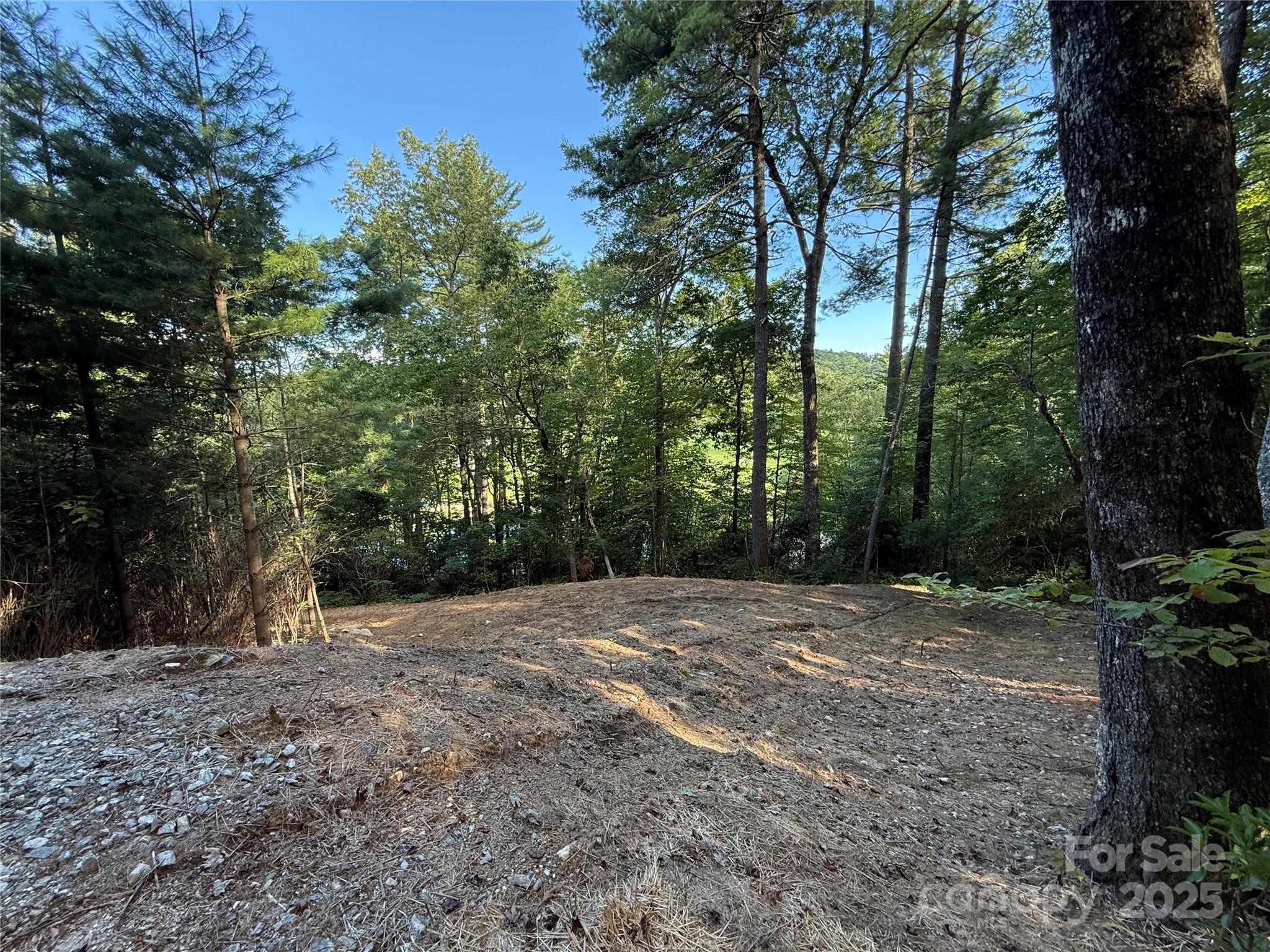 Lake Toxaway Estates - Land