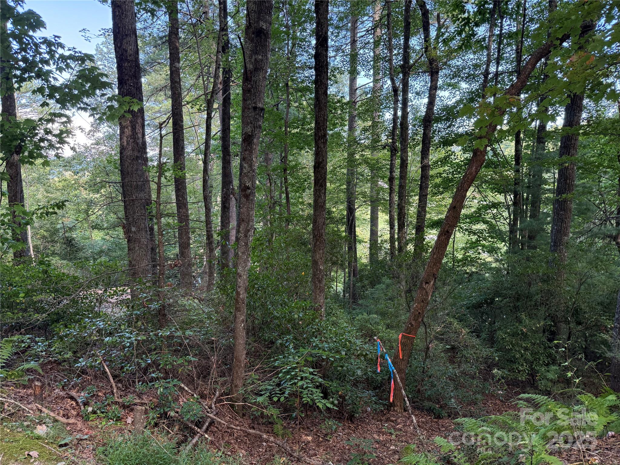 Lake Toxaway Estates - Land