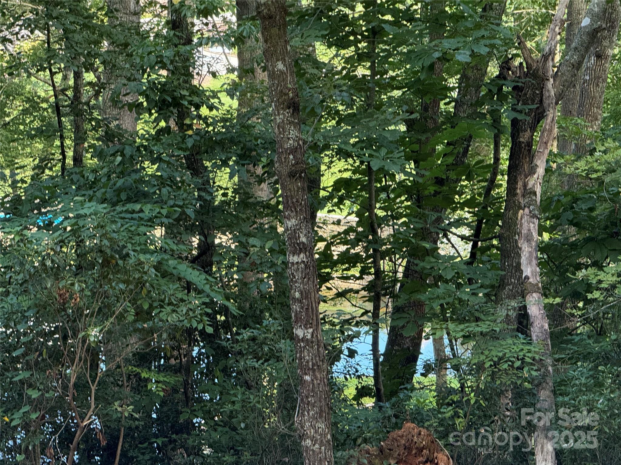 Lake Toxaway Estates - Land