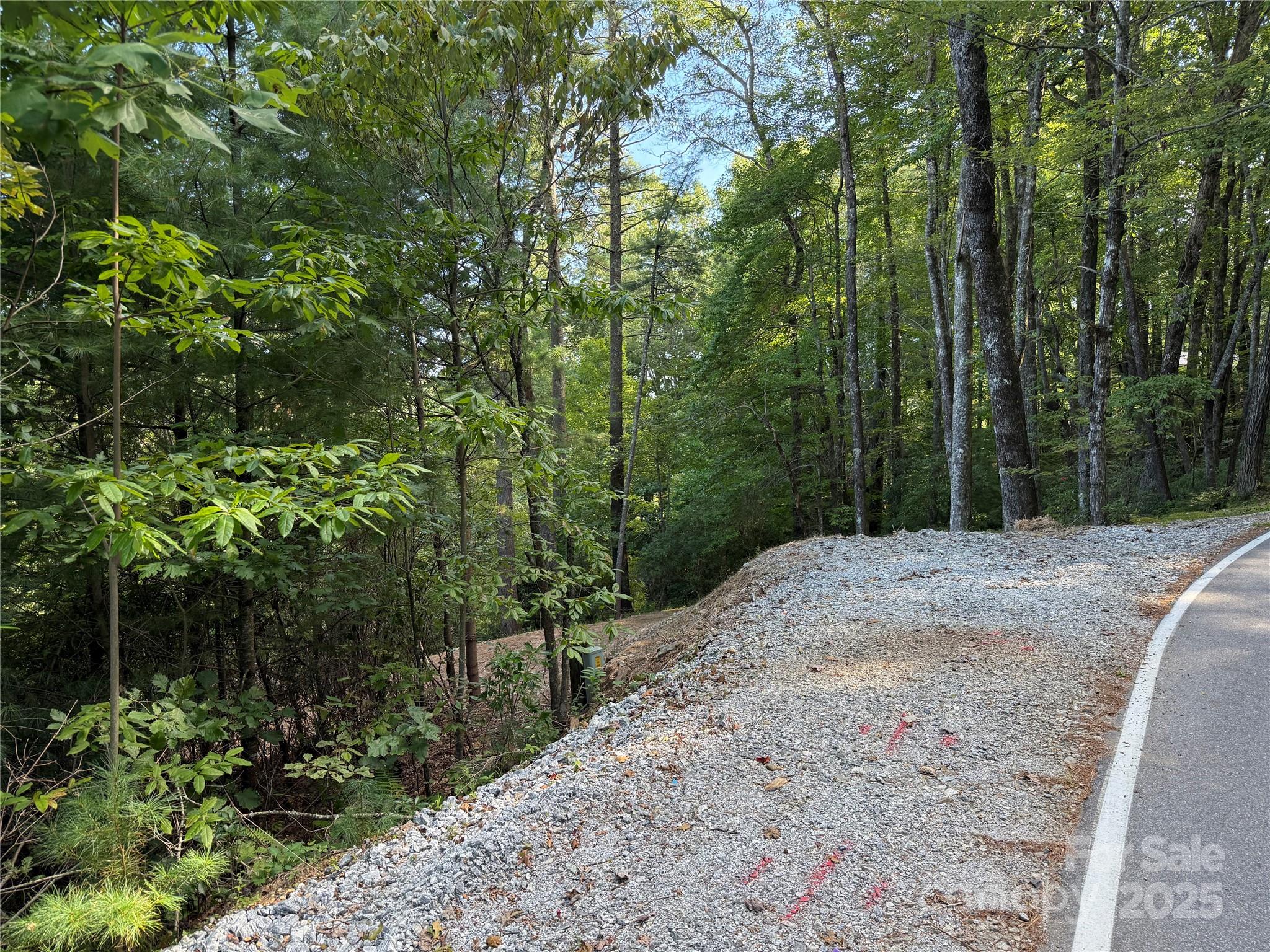 Lake Toxaway Estates - Land