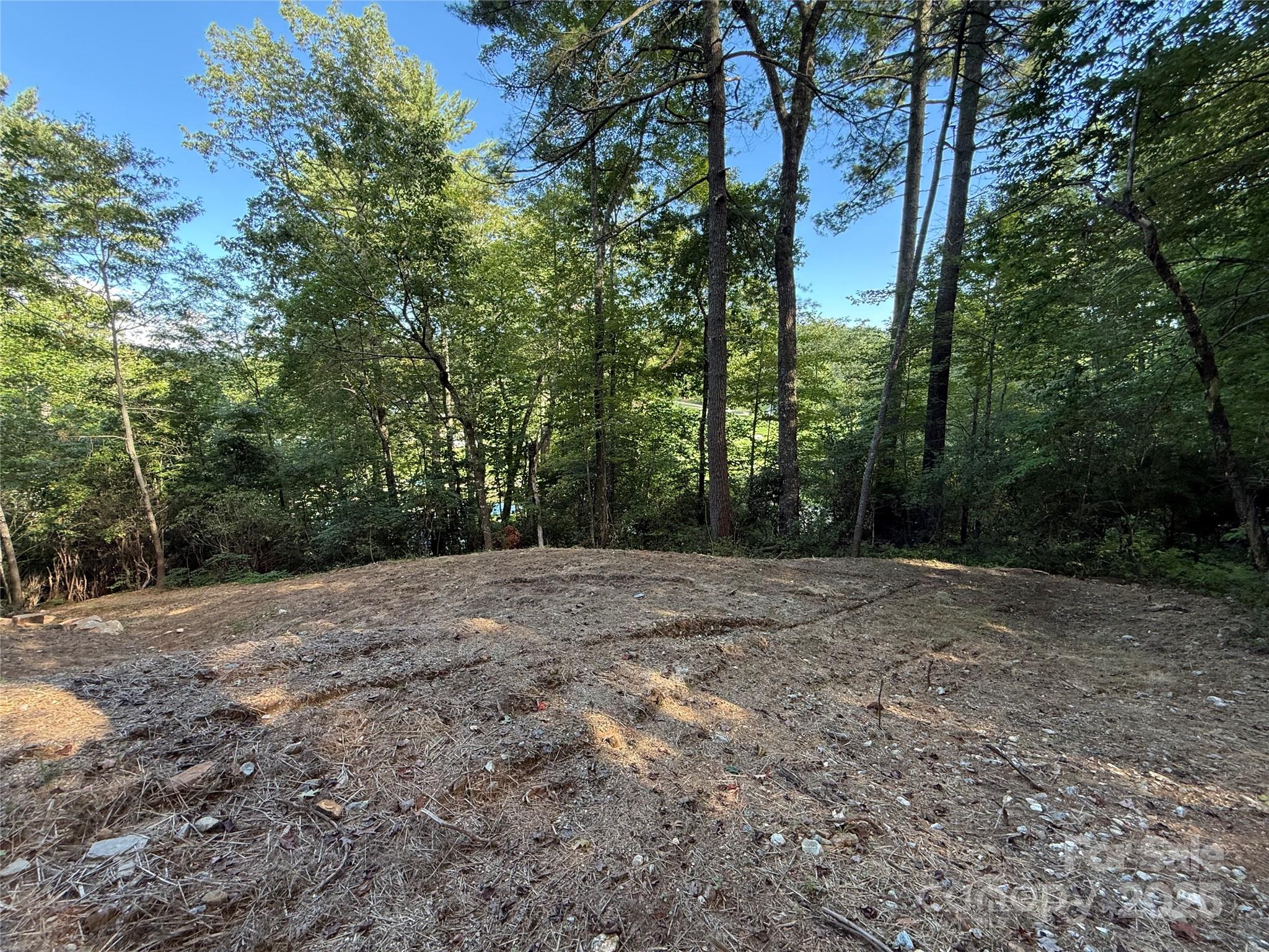 Lake Toxaway Estates - Land