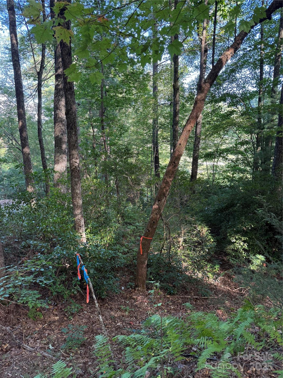 Lake Toxaway Estates - Land