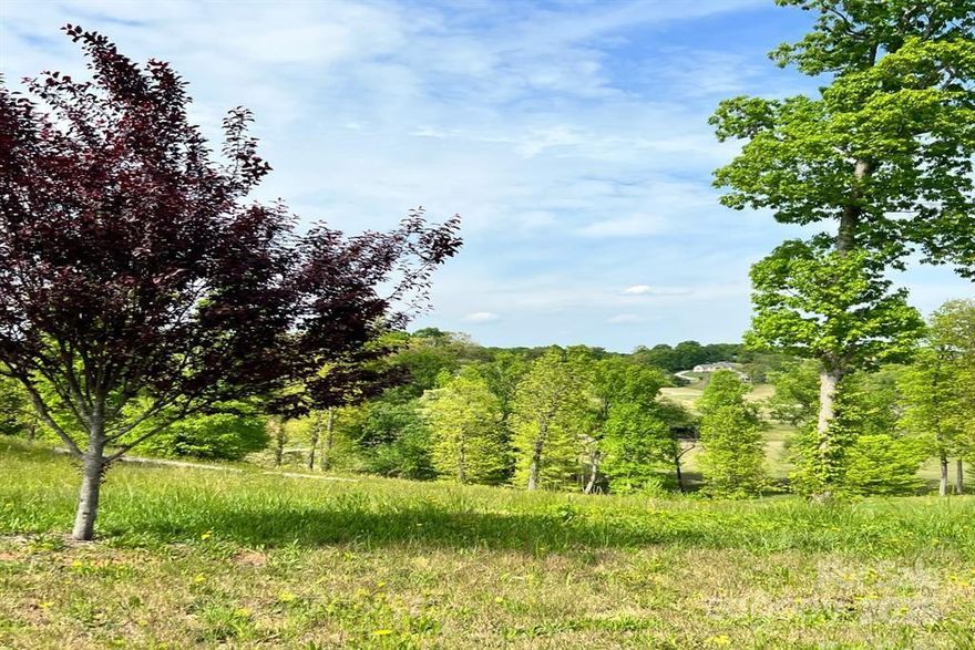 Build your dream home in the prestigious Silver Creek Plantation. Burke County’s finest golf course community with a 170-acre Tom Jackson-designed course and stunning South Mountain views. This lot offers long-range views with community-owned land behind it to ensure privacy and preserve the scenery. Even more, this community boasts walking trails, a fishing pond, cart trails, tennis courts, and a pool. Enjoy the beautiful clubhouse that offers a restaurant, pro shop, locker room, meeting/party rooms, and social events. This gated community is situated less than 15 minutes from Lake James and Morganton, 45 minutes to Asheville, and less than 5 minutes from interstate access. Our beautiful area is a mecca for outdoor lovers, offering nearby access to one of the top 10 cleanest lakes in the U.S., multiple state parks, hiking/biking, breweries, wineries, restaurants, and so much more! Public water, natural gas, and underground utilities are available. A minimum of 1,400 heated sq ft is required for building on this lot!
