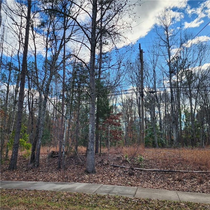 Wooded lot near downtown Waxhaw. Perfect for future developement under the R4 zoning (ex. cottages, duplexes, religious institutions, gov't offices and/or bed & breakfast) regulations for City of Waxhaw. Also located on the Waxhaw Corridor road widening project. The WC project will have setback requirements for developement. Public water and sewer not currently available at this location. Lot is fronted by Waxhaw Marvin Road & backs up to the CSX RR right of way. Note front of lot has Duke Power Easement. Lot size is approximately 100' wide x 800' deep. Soil suitability testing has not been performed or new survey.