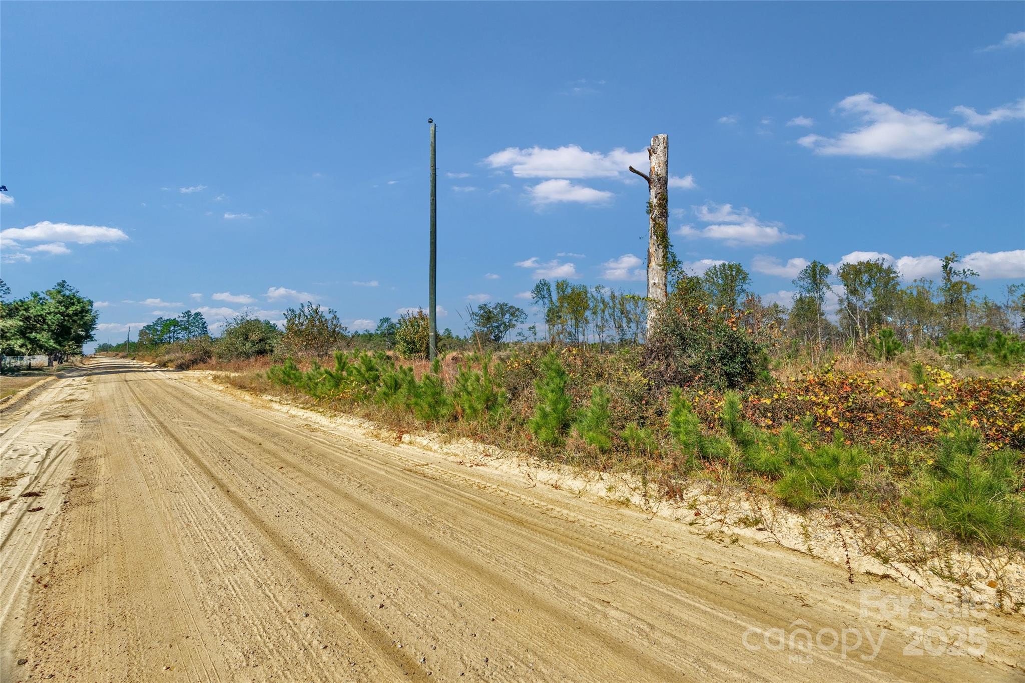 0000 Riley Road 2