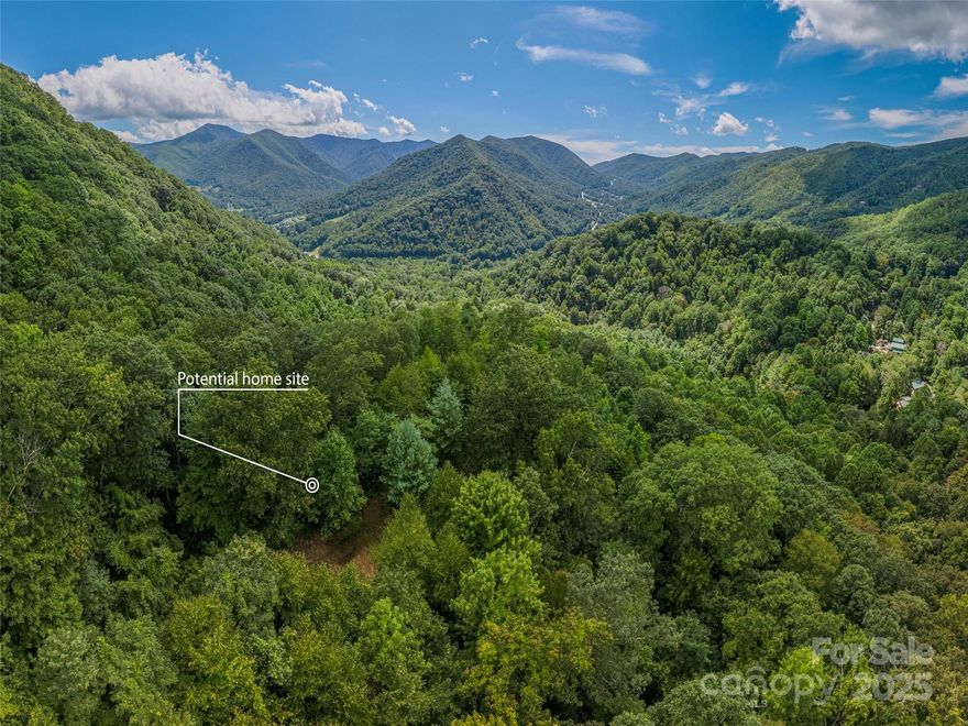 Who says you can't have it all? Only a stone's throw away from the Blue Ridge Parkway and a skip to Maggie Valley. Make this parcel your own and find yourself planted in the beautiful mountains of Western North Carolina! You are only minutes from Cataloochee Ski Area and the Cataloochee Ranch. There is already a rough cut drive in place. It won't be hard to see you vision come to life on this parcel! This view is immaculate and one that you absolutely will not want to miss!