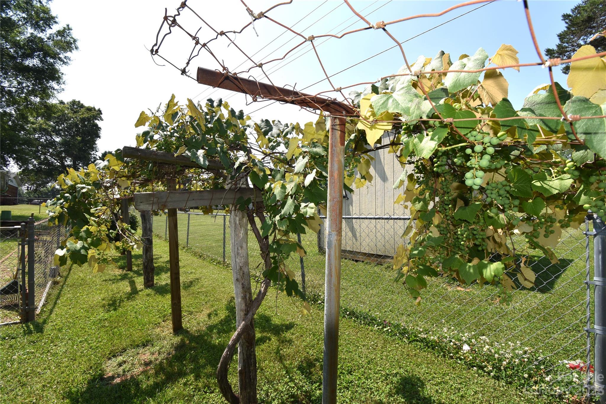 Wittenburg Village - Residential