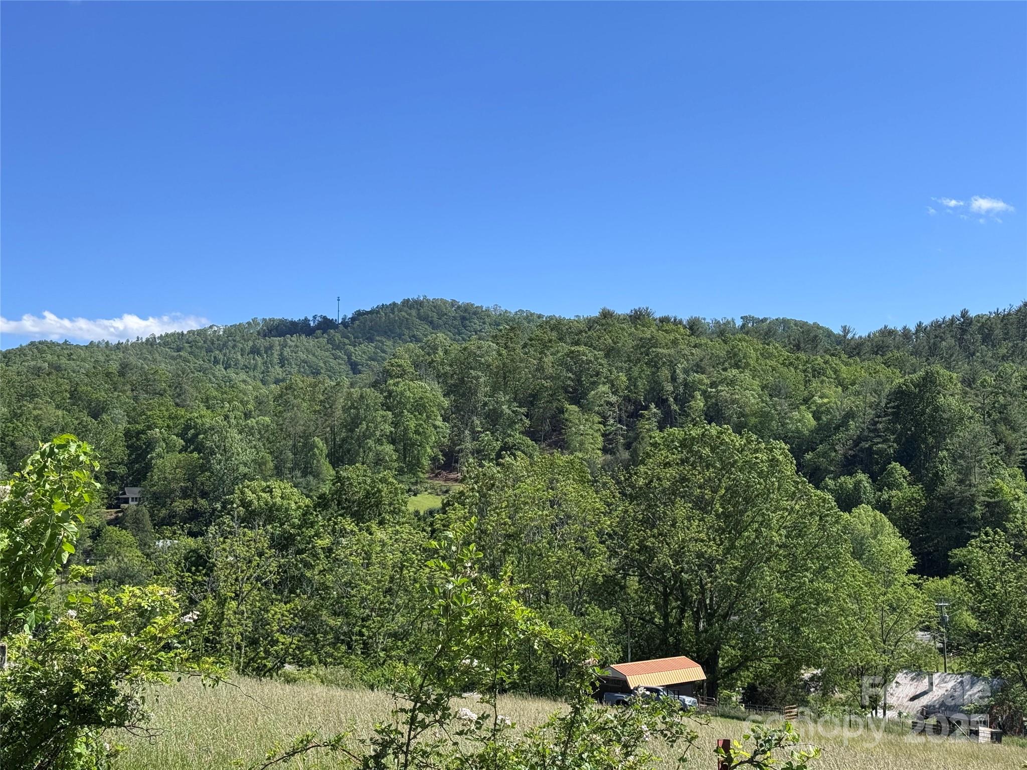 49 Loggy Hollow Road