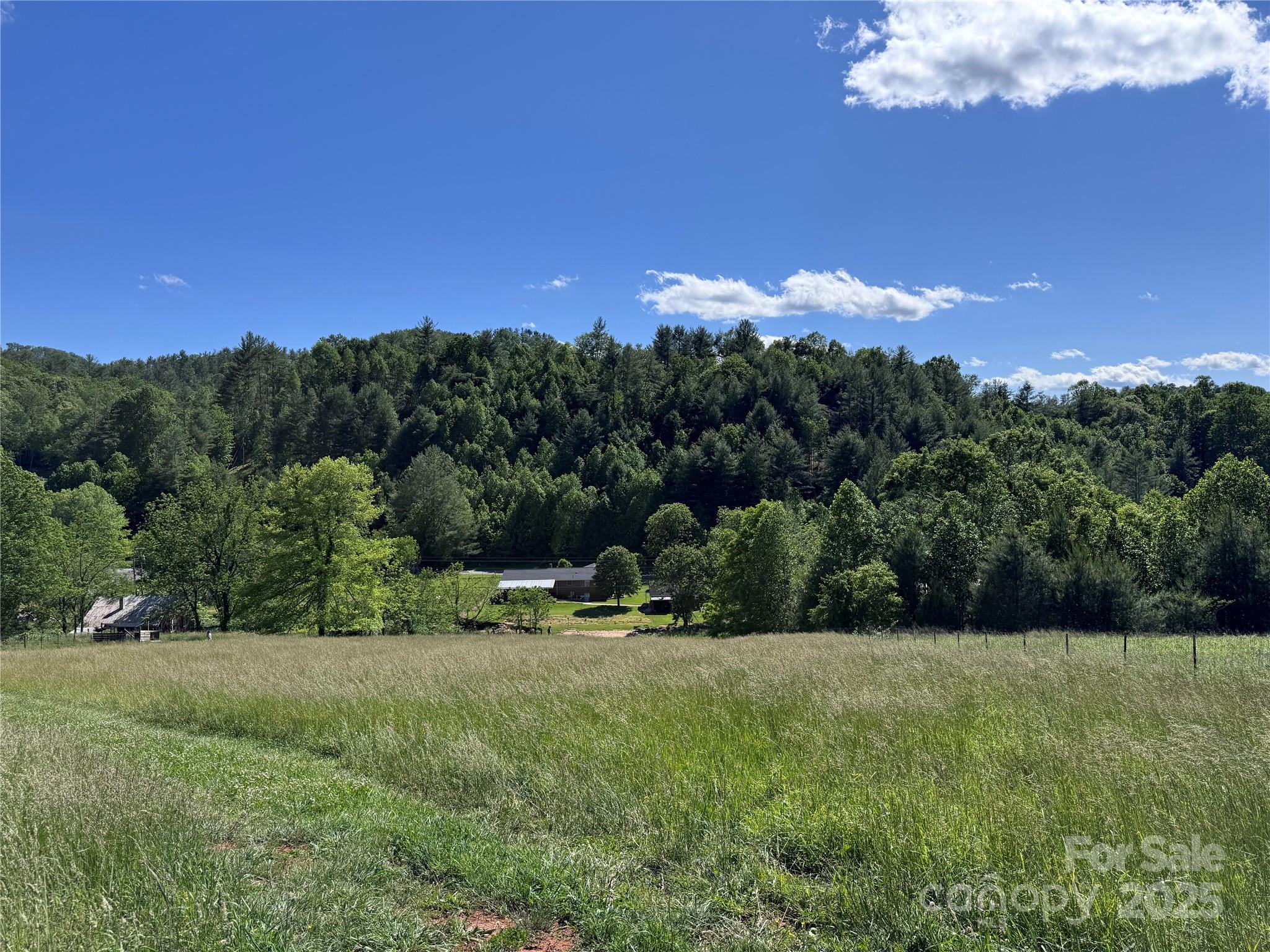 49 Loggy Hollow Road