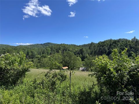 49 Loggy Hollow Road Bakersville NC 28705
