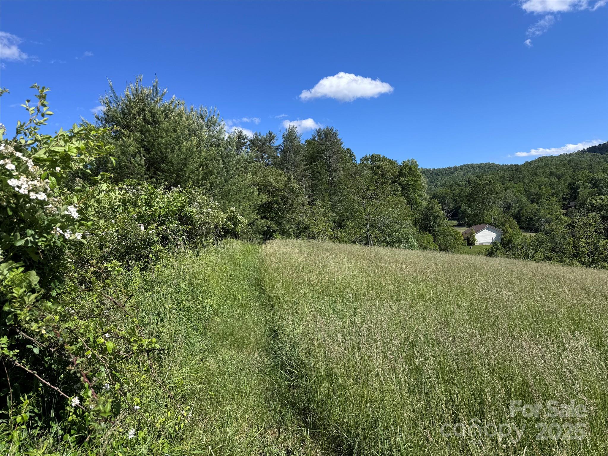49 Loggy Hollow Road