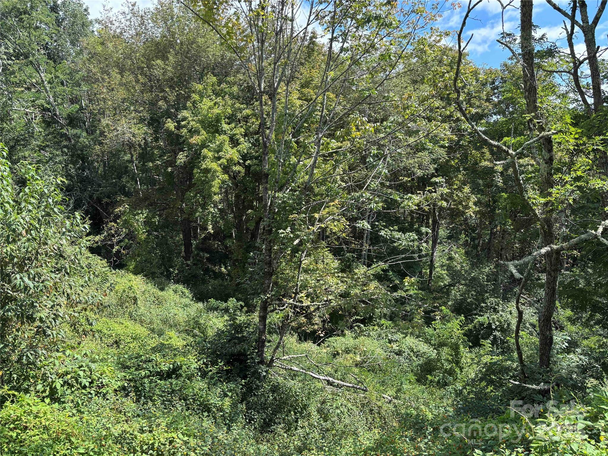 TBD Linhigh Drive 66