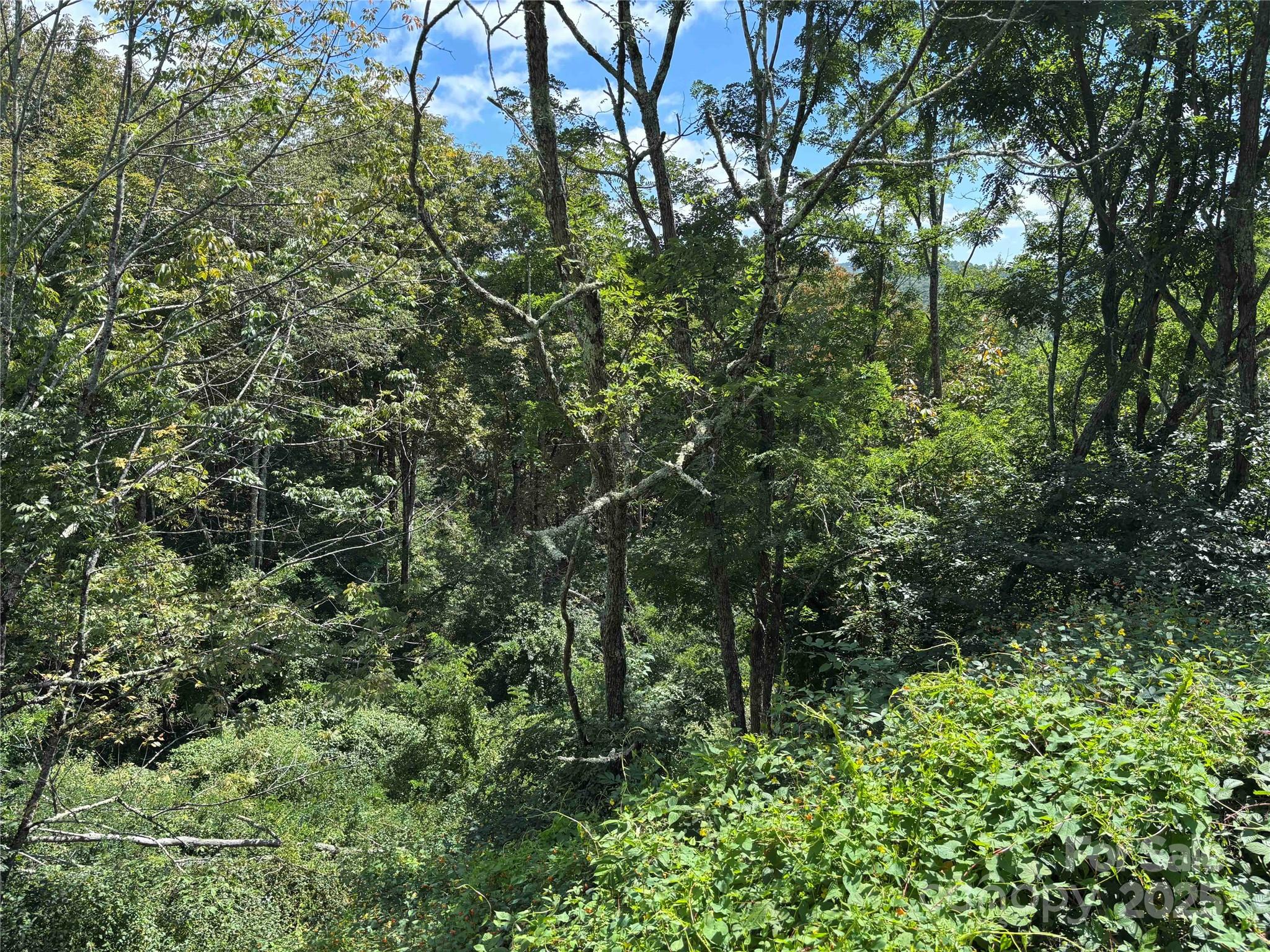 TBD Linhigh Drive 66