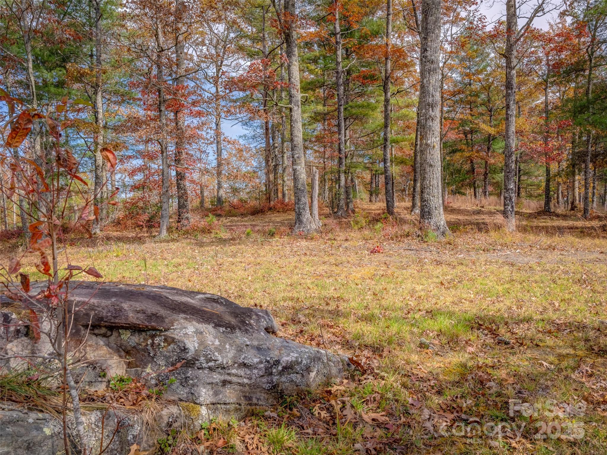 Stones Lake - Land