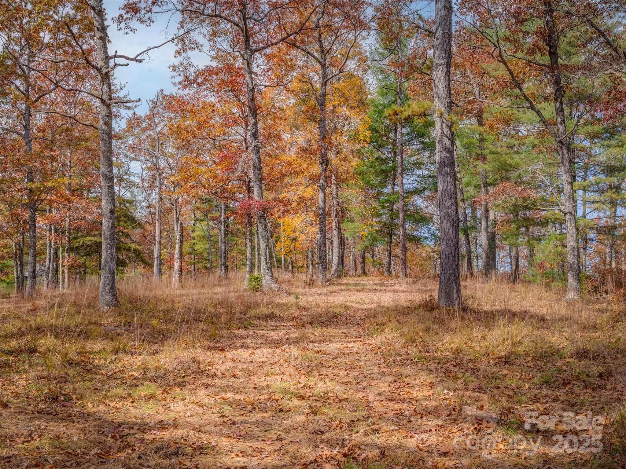 Stones Lake - Land