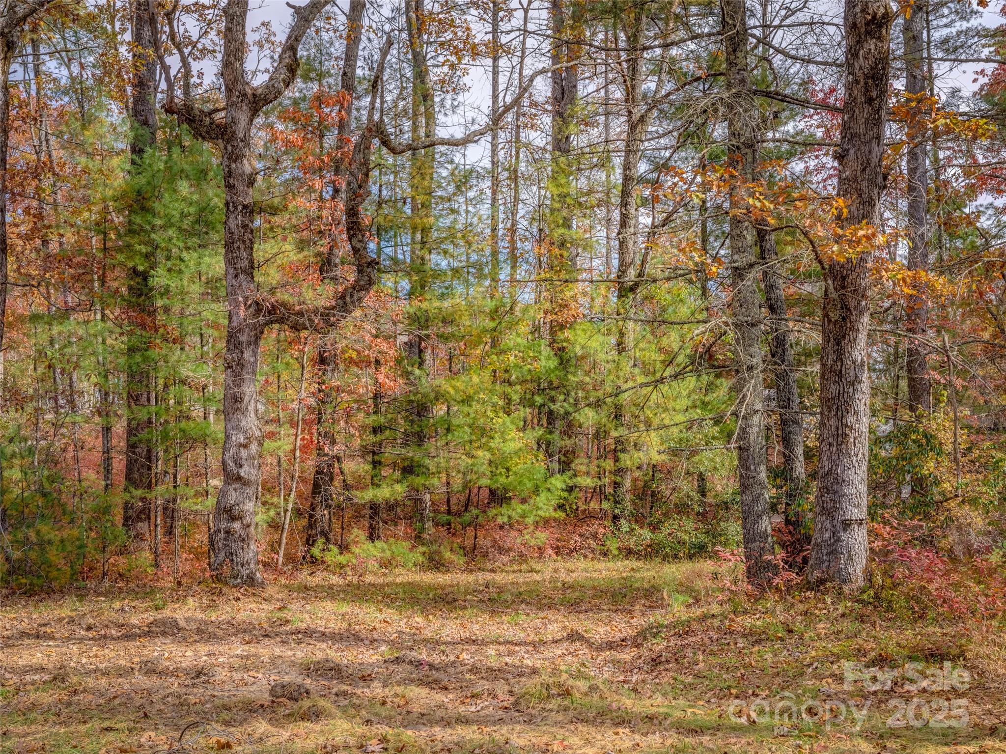 Stones Lake - Land
