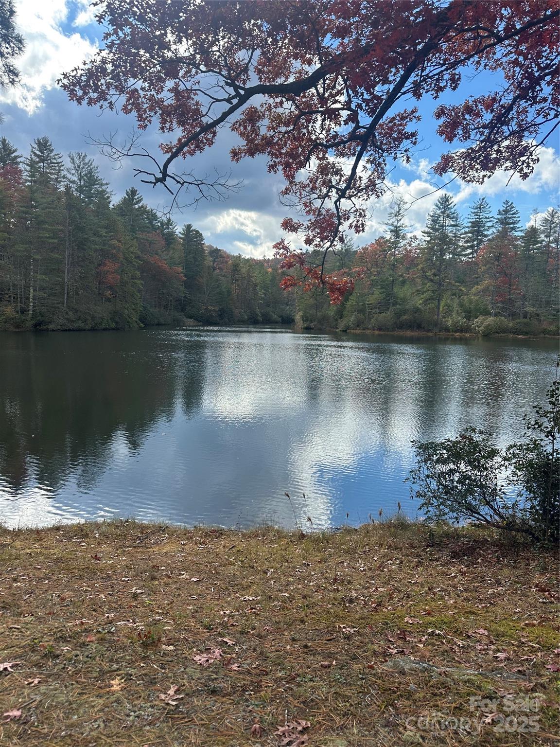 Stones Lake - Land