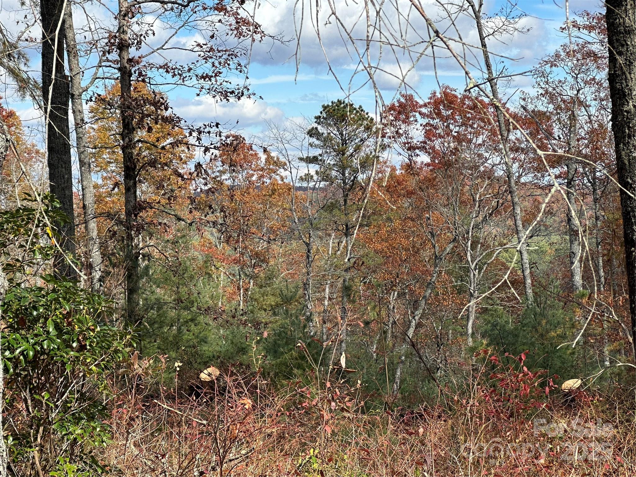 Stones Lake - Land