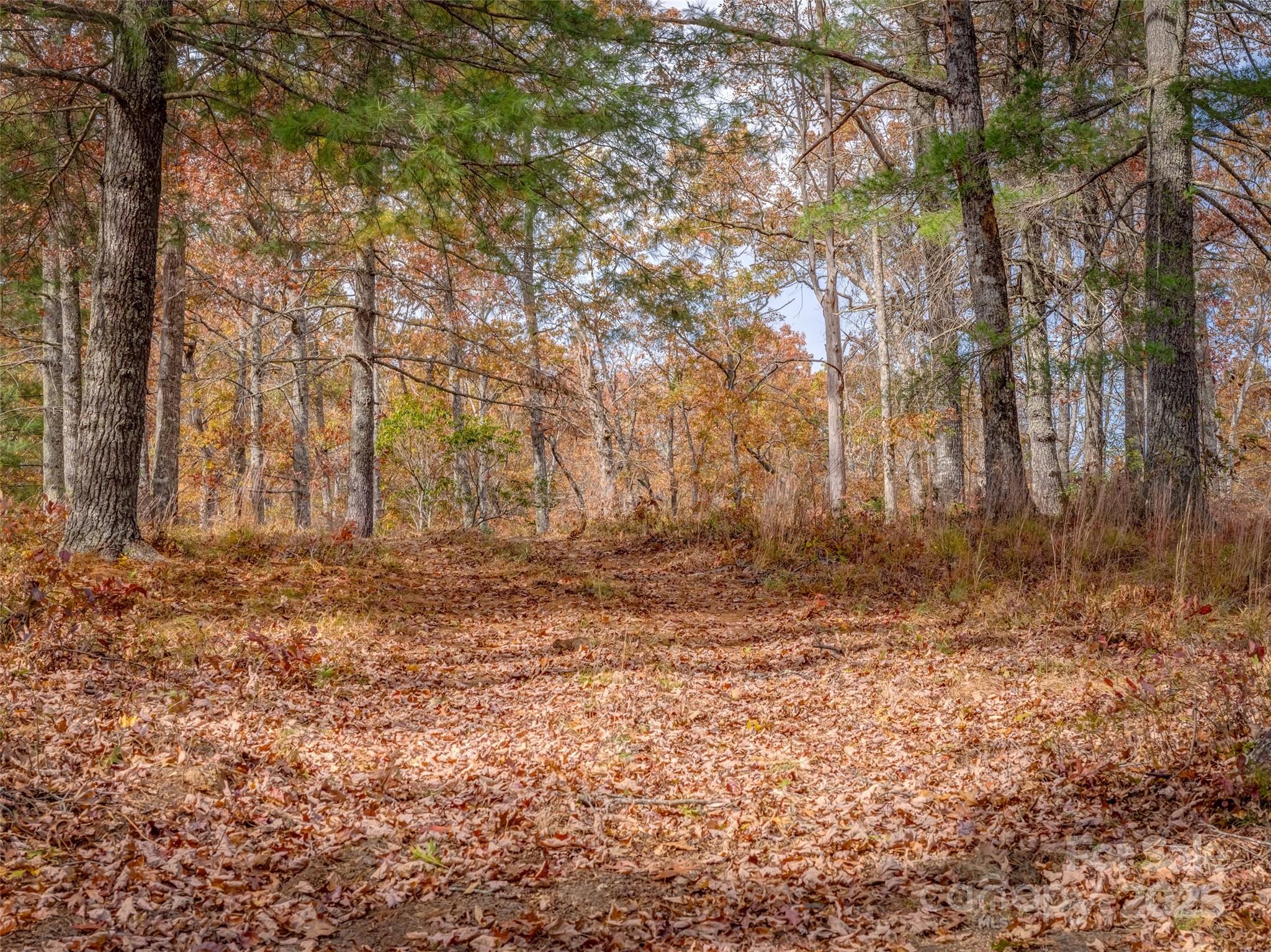 Stones Lake - Land