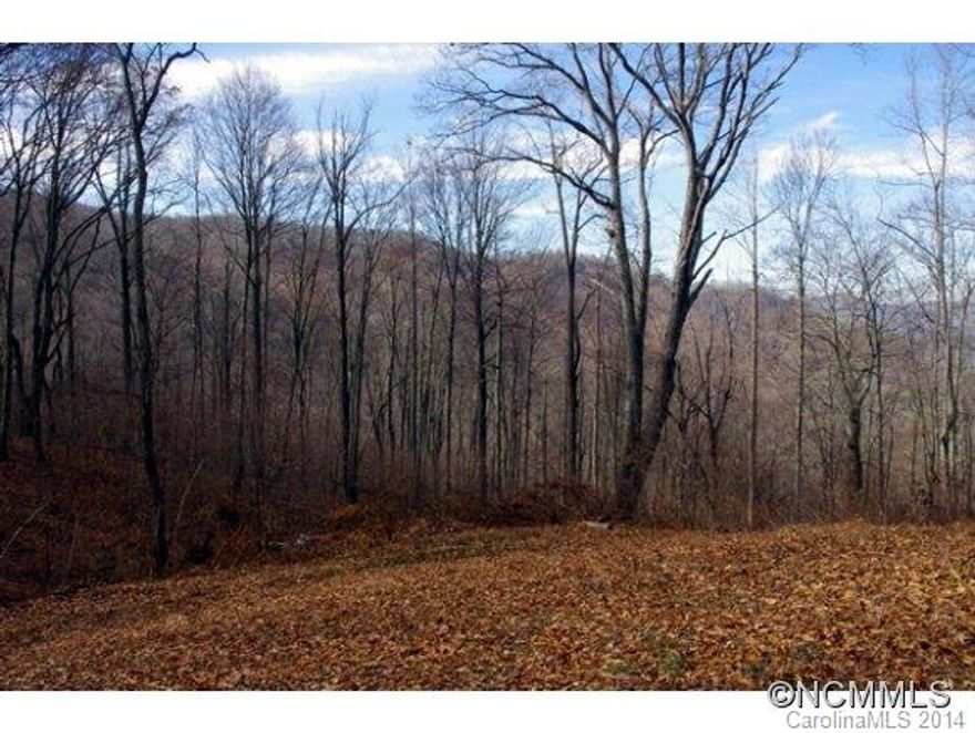 Price is Firm. Private Mountain Cove with Incredible Long Range Views. Land Comprises 3 Separate Lots for a Possible Family Compound or Vacation Retreats/Rentals. Level, Sloping, and Some Steep Terrain. Easy Laying Gravel Drive Circles Around Cleared House Site, Well w/ 240V Receptacle, Current Septic Approval. Storage Shed & Large Metal Carport. Small Spring. Several Building Sites. 15 minutes to Asheville. Includes PINS 9687-17-9339 and 9687-27-2339.
