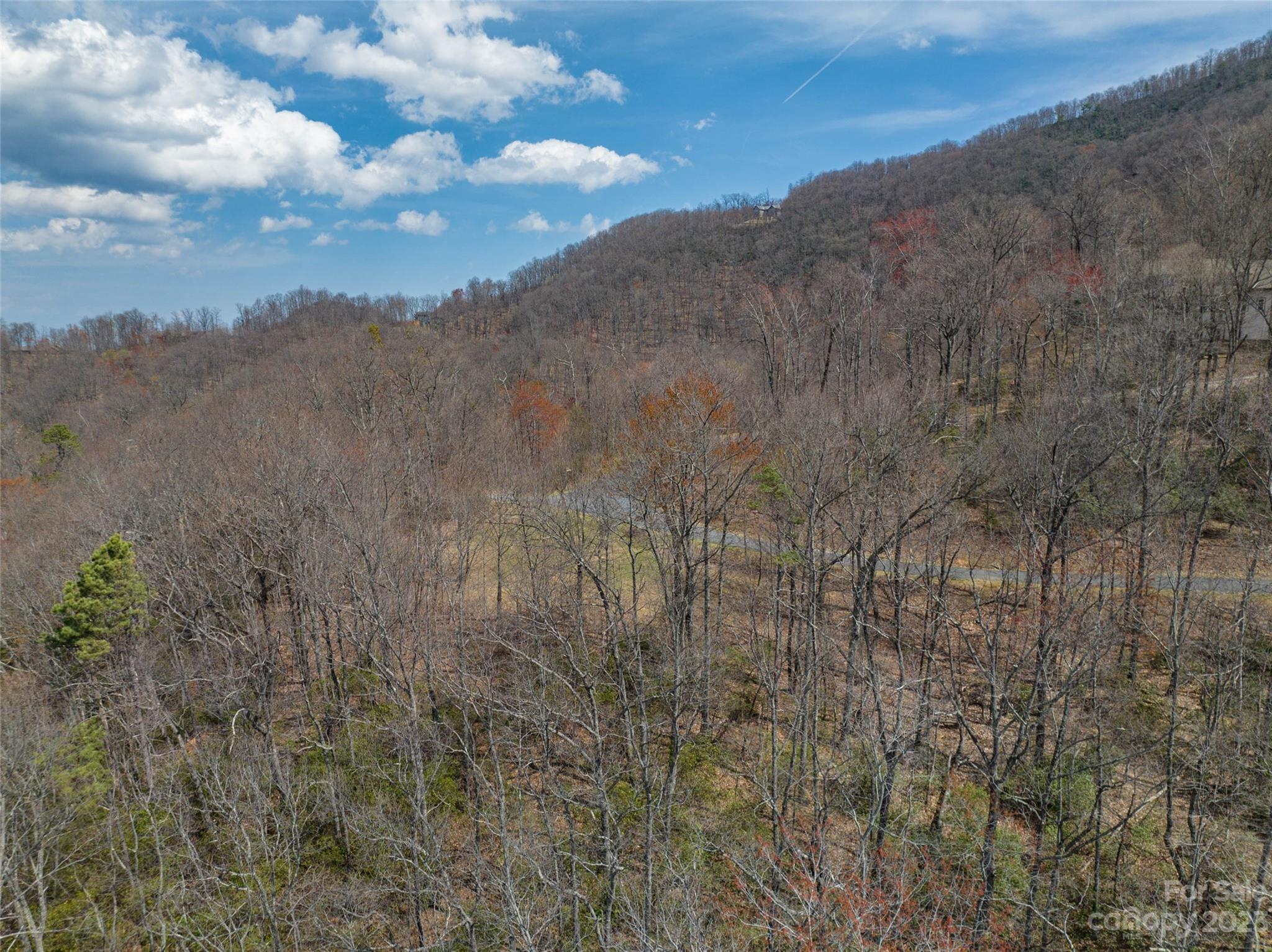 Catawba Falls Preserve - Land