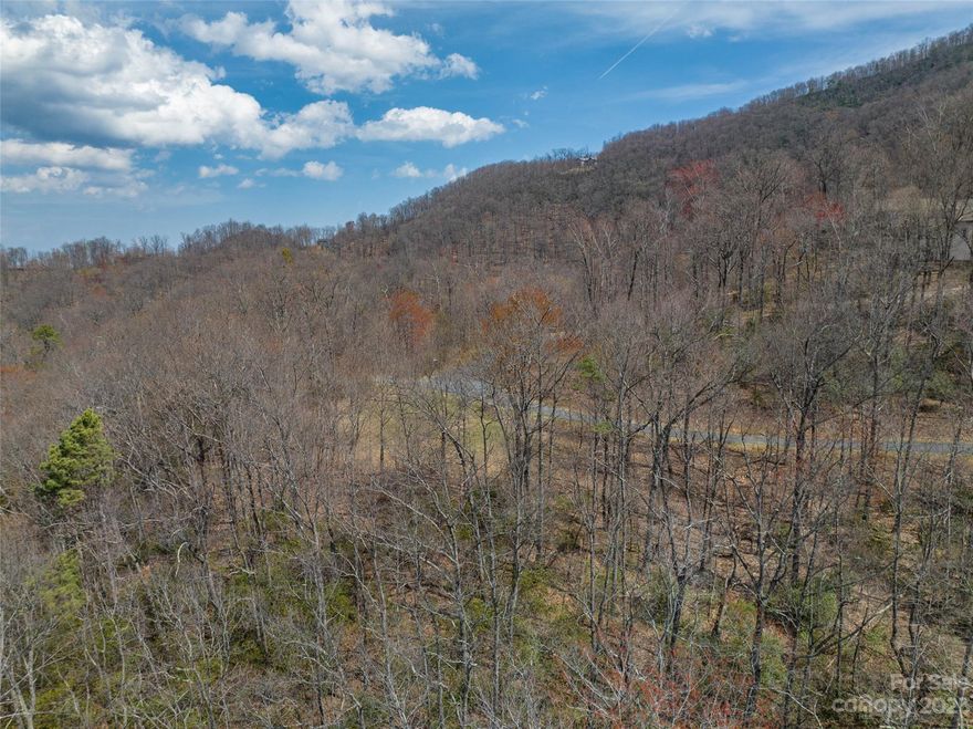 Build your dream home or mountain cabin on this beautiful private mountain lot with winter time mountain views. Catawba Falls Preserve is a tranquil and quiet gated community approx 15 minutes from historic downtown Black Mountain and 25 minutes to Chimney Rock and Lake Lure. This community has a variety of vacation homes and full time residents. Boarding the Pisgah National Forest, you'll enjoy long walks on miles of maintained trails, some leading to the breathtaking Catawba Falls waterfalls. This lot is not too far from the entrance to the community and the road leading to this lot is flat/level. The lot is sloping which would allow for a daylight basement type of home. Scoop up this lot before it is gone.