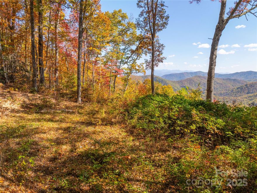 SIGNIFICANT PRICE IMPROVEMENT! 10.2+/- Acres with UNBELIEVABLE LONG RANGE VIEWS! This beautiful, buildable property just minutes to Bryson City, NC must be seen to be believed. Follow the well maintained gravel road up the mountain to find this incredible 10.2+/- acre lot boasting a level build site & some of the most breathtaking, long range mountain views that you've ever seen. Residing just beyond the gorgeous Conley Mtn. subdivision with its beautiful homes & well maintained yards, this property shares that road for access. A road maintenance agreement with Conley Mtn HOA is in place but this property is NOT subject to restrictions! It's like having the best of both worlds! Just minutes to Smoky Mtn Golf & Country Club, Harrah's Cherokee Casino, world class fly fishing, mountain biking, hiking & whitewater rafting. This property would be PERFECT for a rustic mountain cabin, custom home or short term rental. Investing in land is more stable than stocks and more tangible than crypto. Seller is highly motivated and is now offering seller financing for qualified buyers. This one won't last, call today before it's gone!