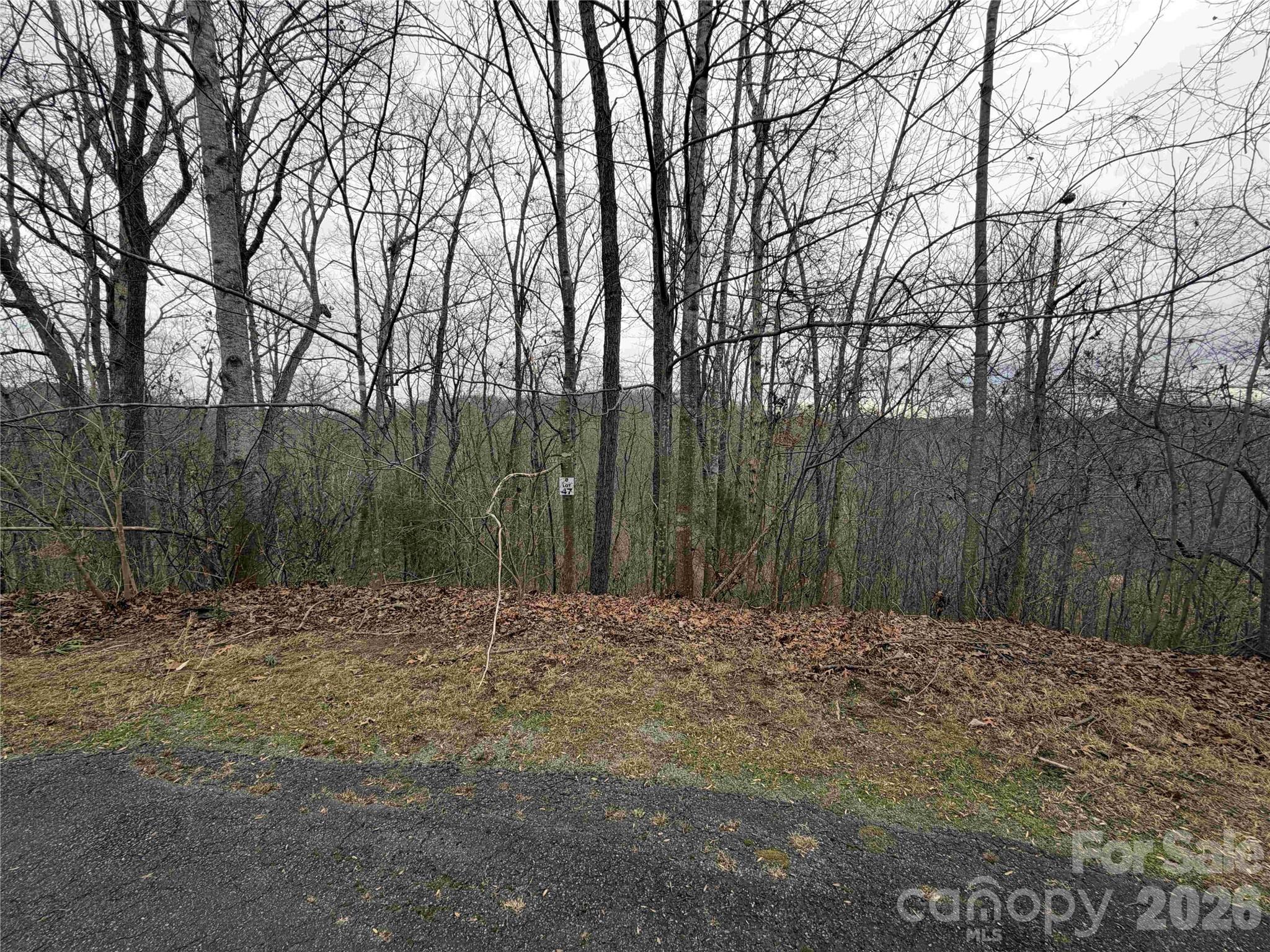 Buffalo Shoals Natl Golf Club - Land