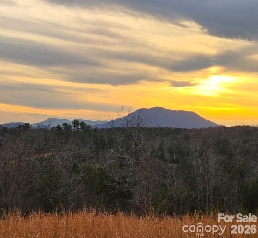 LOT #1: 2.79 acres! Mountain views, easy living and privacy. Welcome to Price Summit Way ; a collection of 3 outstanding, mountain view lots in the Blue Ridge Foothills of popular Polk County NC. Smaller acreage lots that are already cleared are harder to come by with no minimum s.f requirement (check county building codes and requirements). Homesite and potential paddock space have just been mostly cleared, leaving plenty of beautiful, mature hardwoods in perimeter areas. Still plenty of shade and privacy, with room for your horses, chickens, garden, & other. Want a getaway place for the season? Want a tiny home or cabin or homestead? Get your BIG view, open space, easy road frontage AND mature wooded areas all in one place. Horse enthusiasts, don't want your horses at home?...live 5 minutes from them and ride year round - Board your horse with Seller and use the 95+ acres of private on-site bridle trails - soon to be expanded to 200+ acres PLUS owner eligible to join the 135+ mile FETA trail system.  Restrictions are reasonable: No subdividing, no manufactured homes, some tree restrictions, no light pollution. All lots will participate in a shared road maintenance agreement and horse trail easement as shown in Agent Attachments.  PRIVATE ROAD COMPLETED. ACCESS TO PROPERTY BY APPOINTMENT ONLY. Buyer to establish septic, well, and electric service from Rutherford Electric. Service is nearby. Owner Financing available.