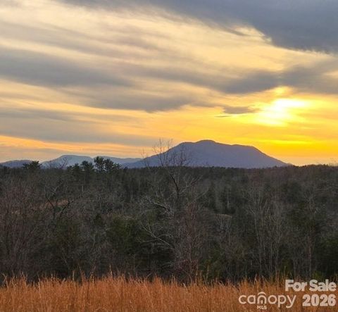 LOT #1 Price Summit Way Mill Spring NC 28756