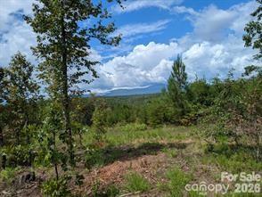 LOT #1 Price Summit Way