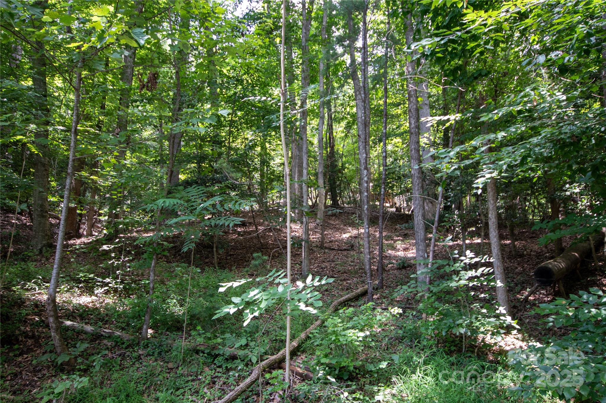 LOT 110 Stoney Brook Drive 110