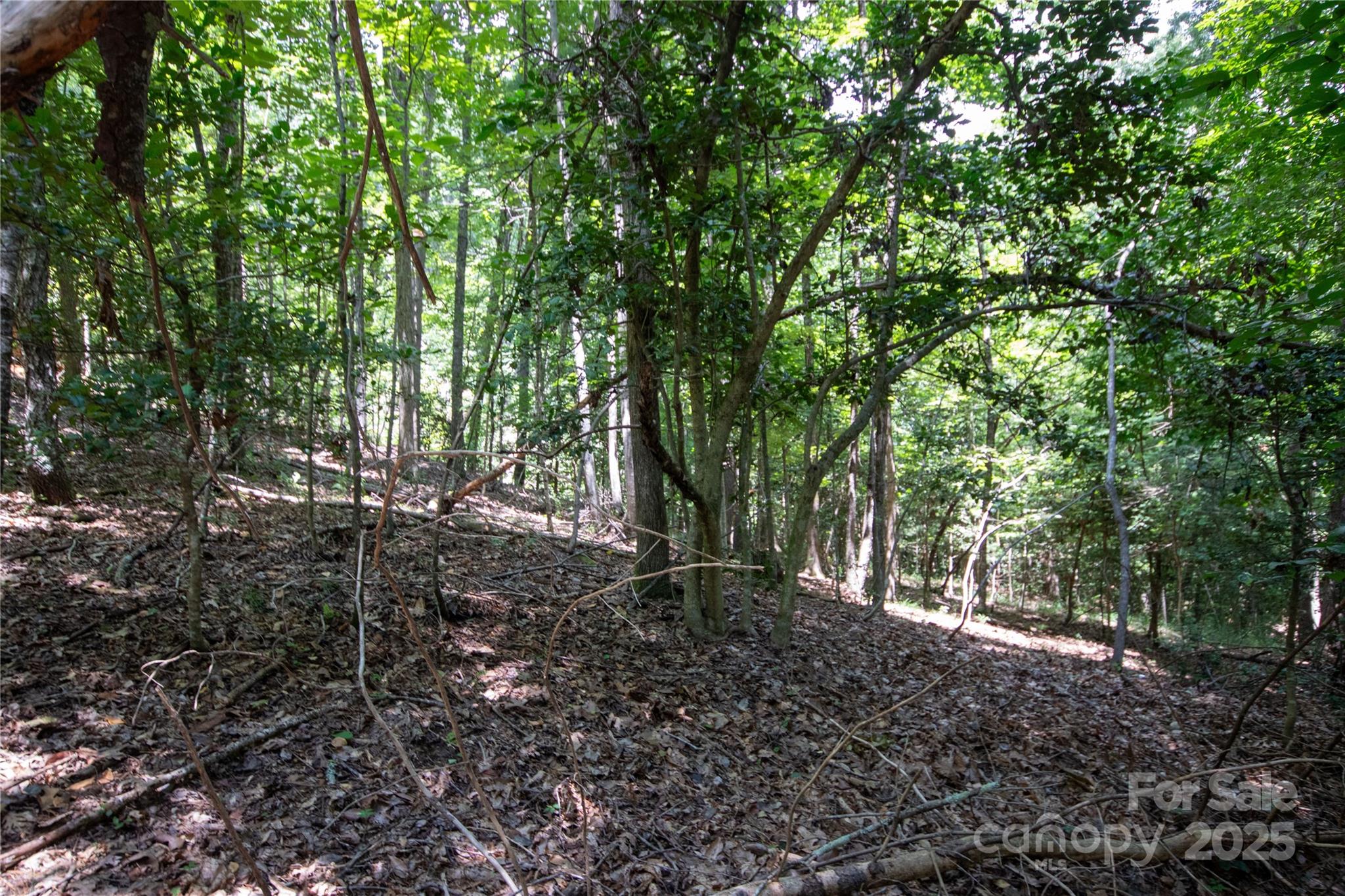 LOT 110 Stoney Brook Drive 110