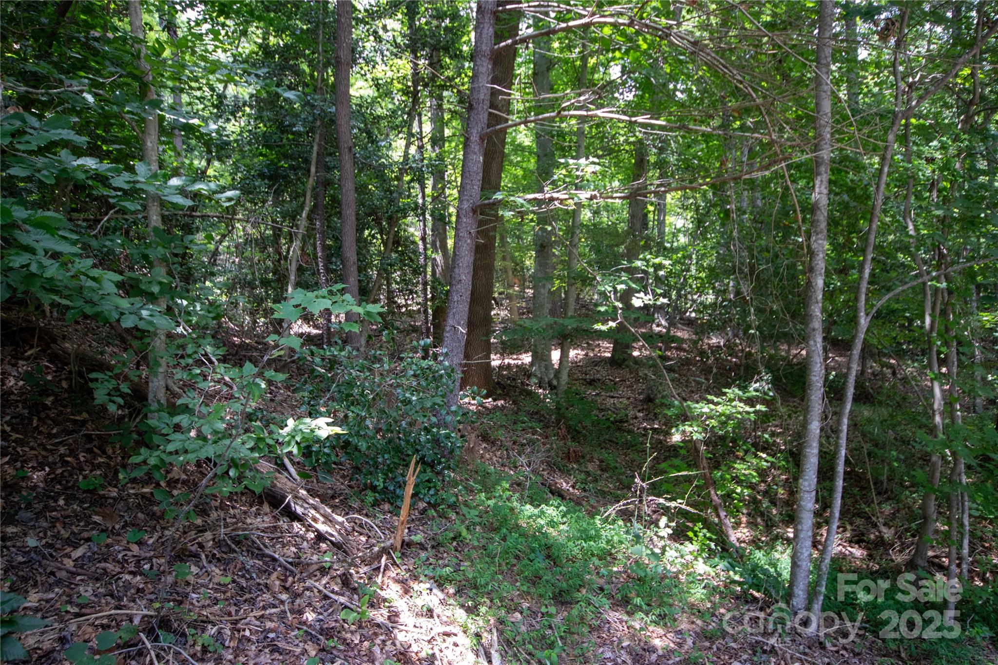 LOT 110 Stoney Brook Drive 110