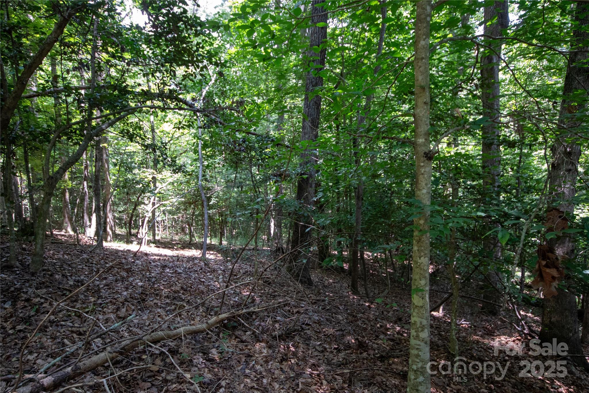 LOT 110 Stoney Brook Drive 110