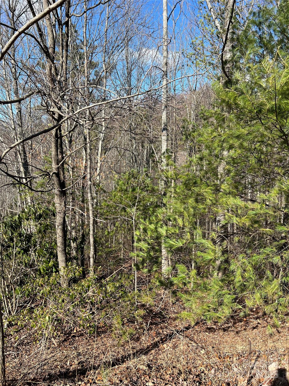 Lot# 130 Terra Vista Drive