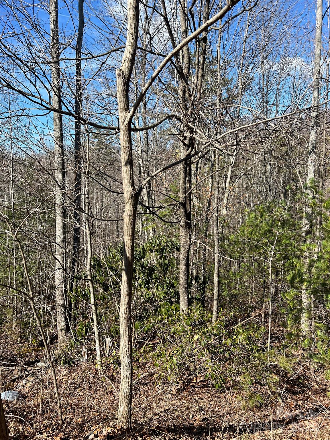 Lot# 130 Terra Vista Drive