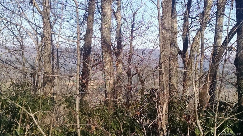 Pisgah Forest Estates - Land