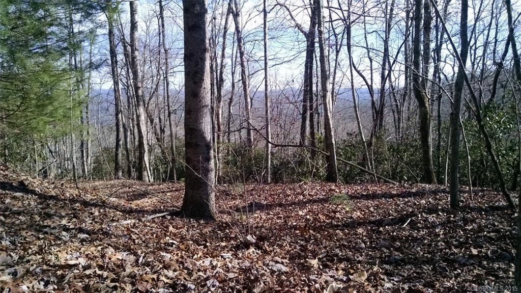 Pisgah Forest Estates - Land