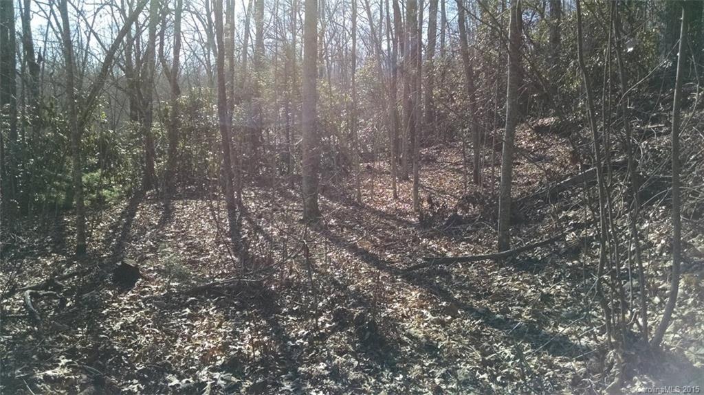 Pisgah Forest Estates - Land