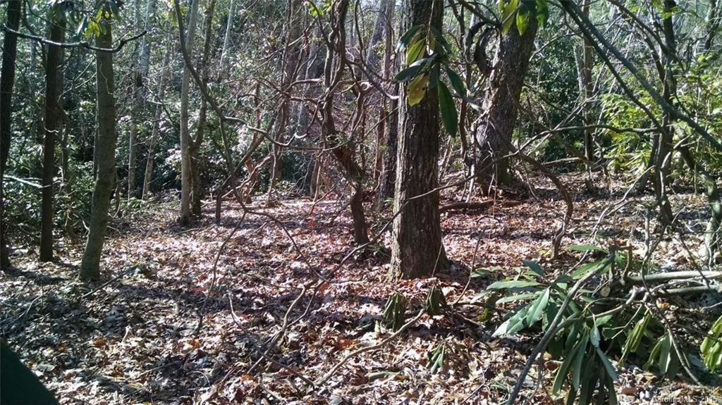 Pisgah Forest Estates - Land