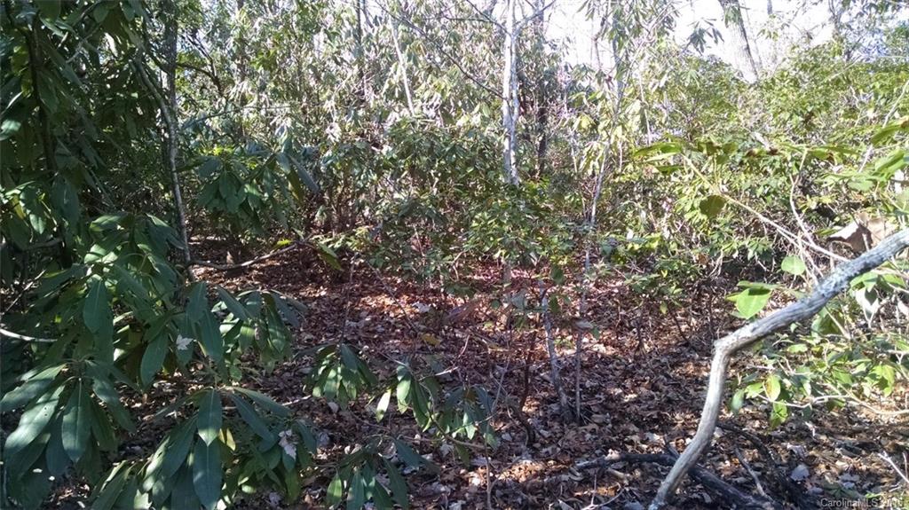 Pisgah Forest Estates - Land