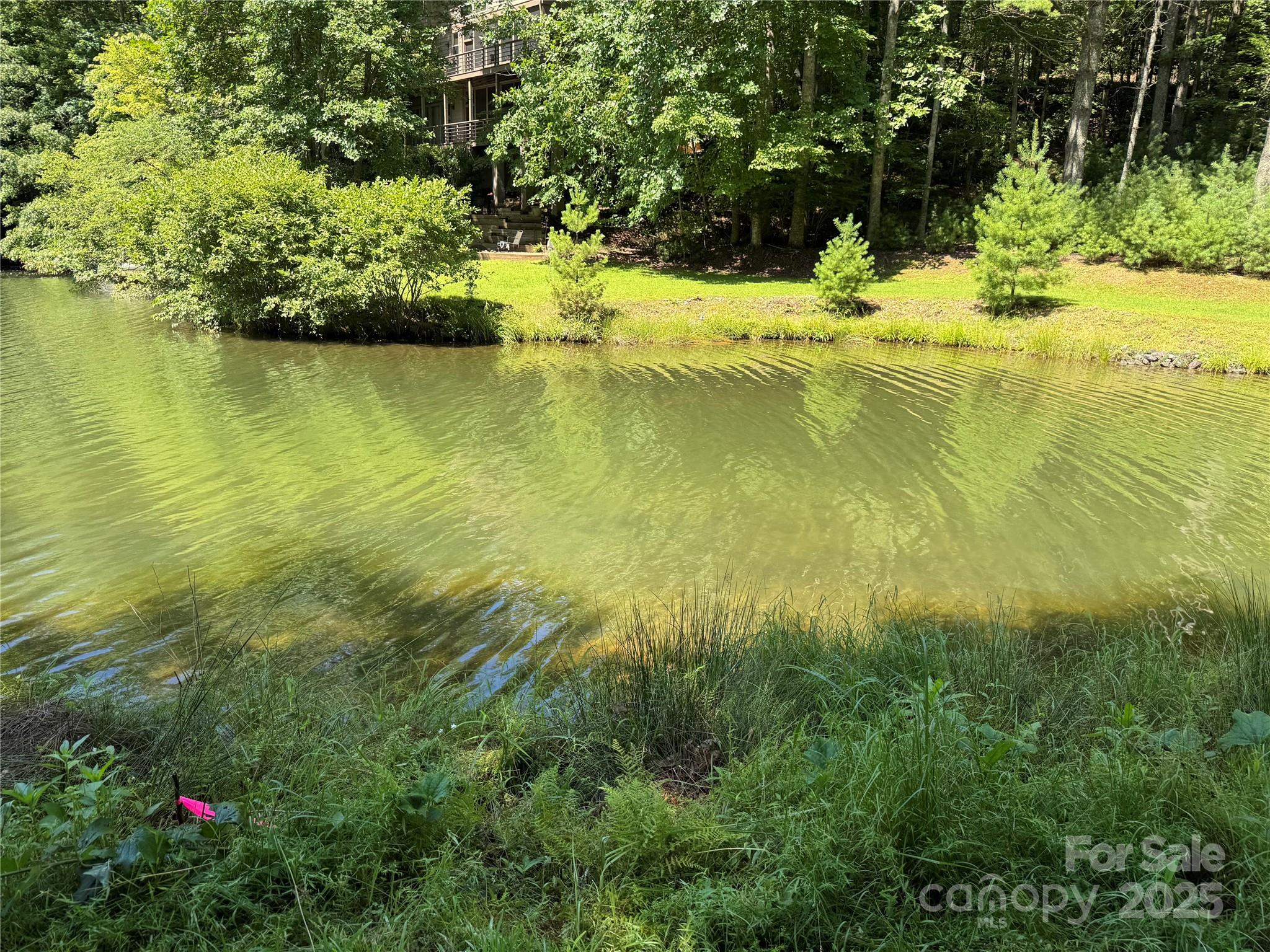 Connestee Falls - Land