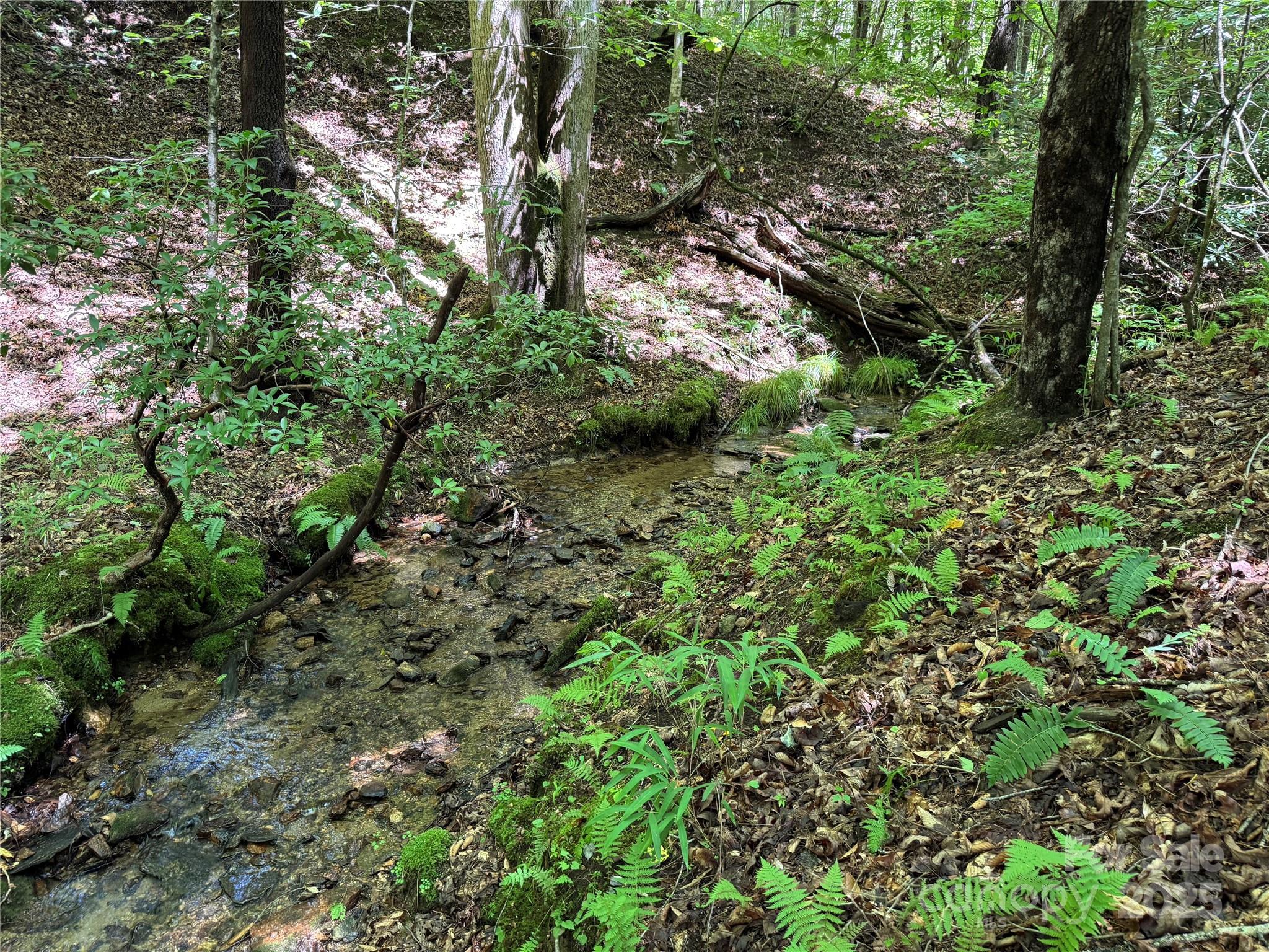 Connestee Falls - Land