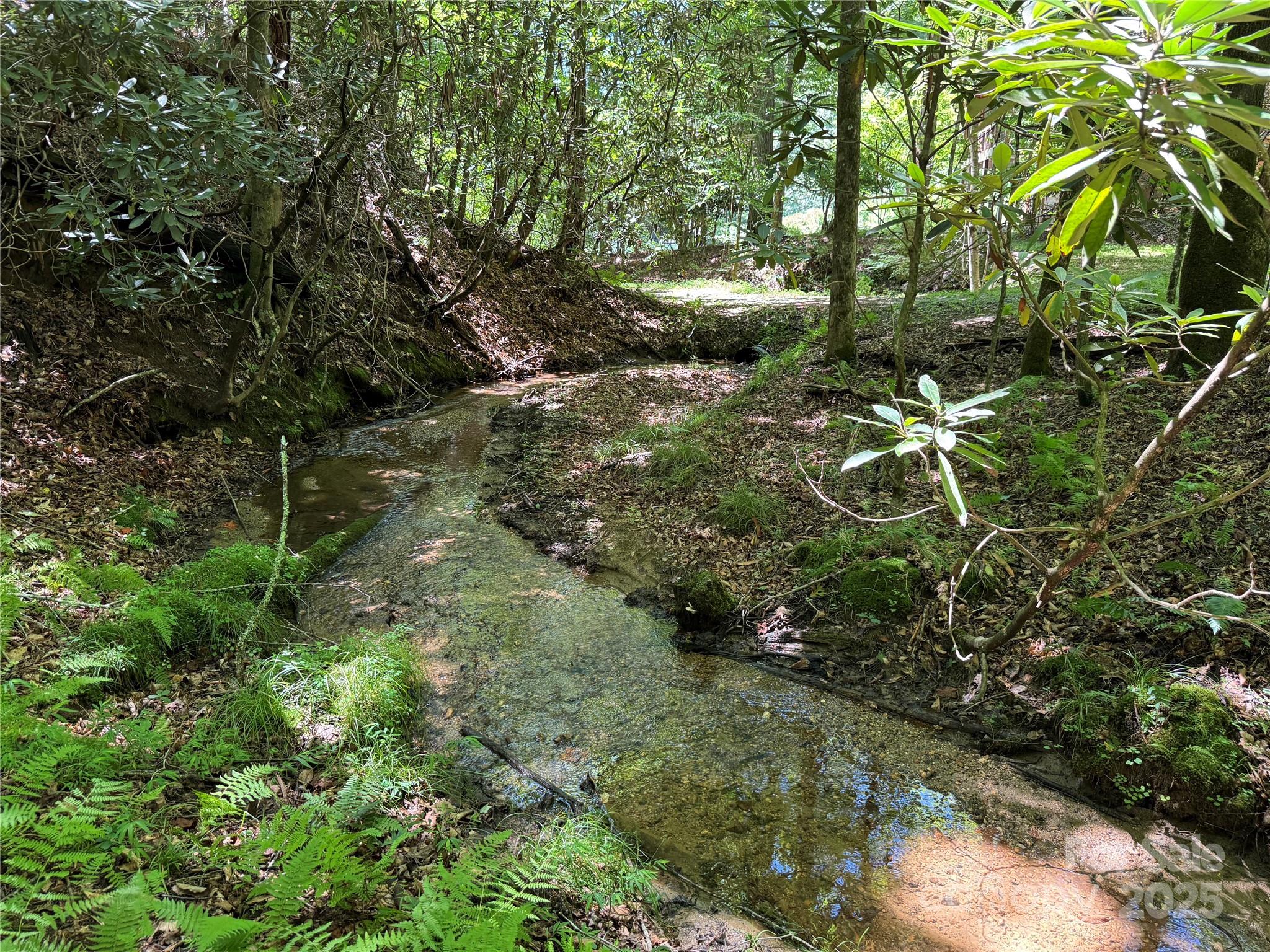 Connestee Falls - Land