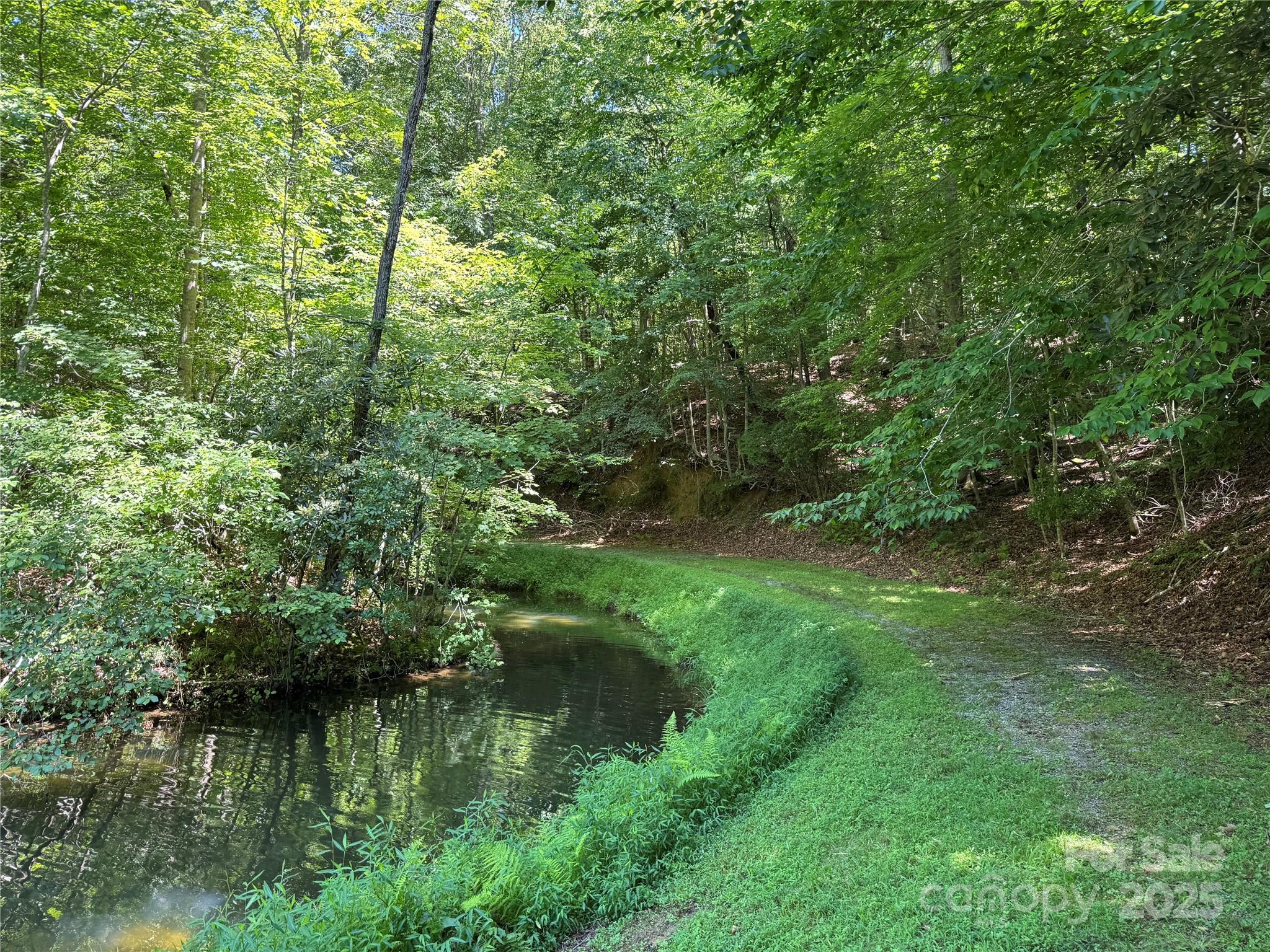 Connestee Falls - Land