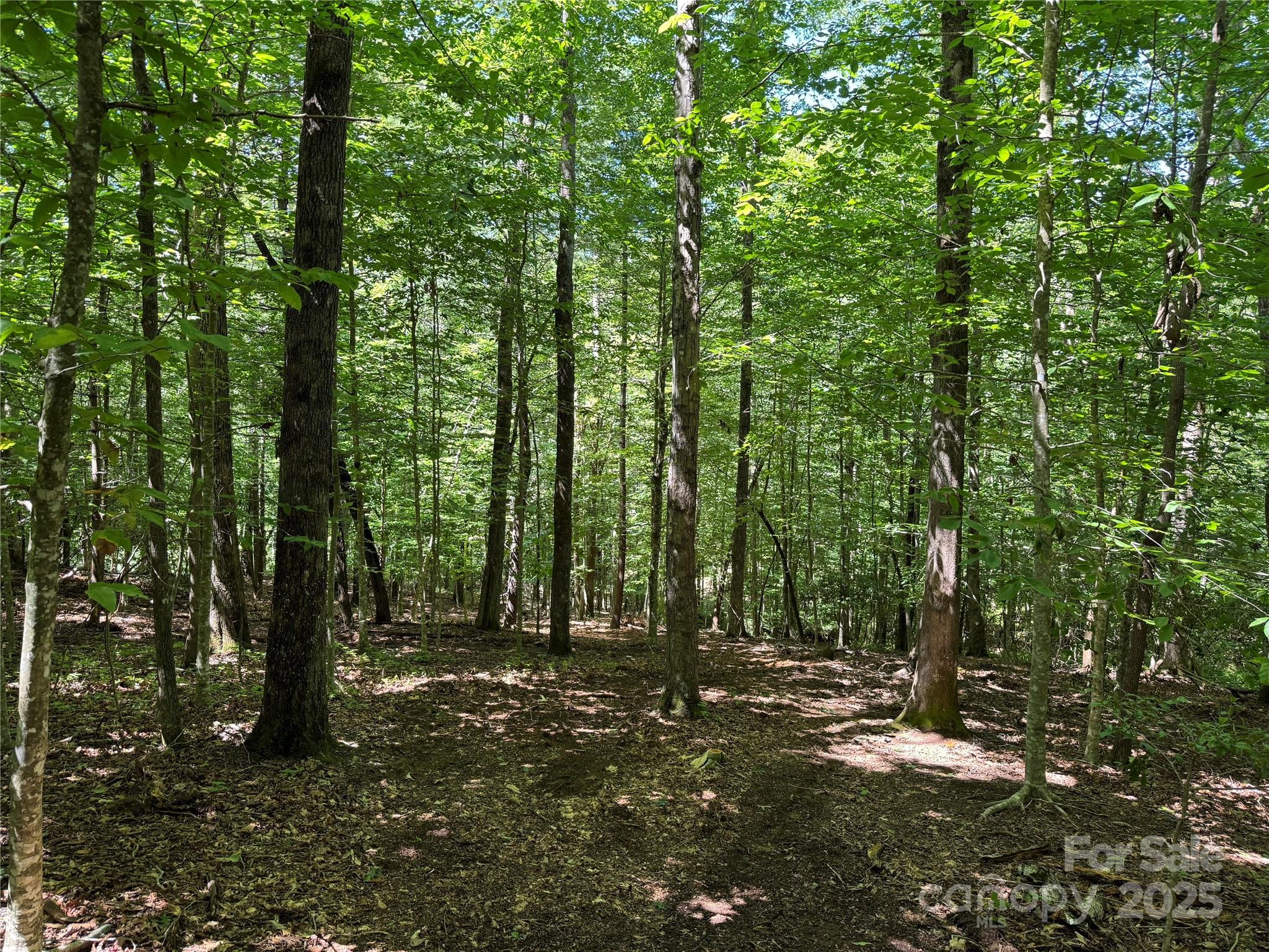 Connestee Falls - Land